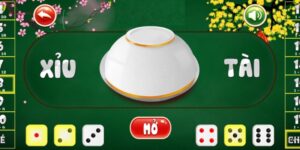 Tìm hiểu về cách chơi tài xỉu